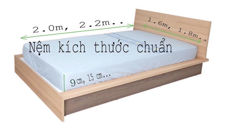 Kich Thuoc Dem Tieu Chuan